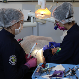 Cl�nica odontol�gica da Univille atende pacientes da Pr�-Rim�