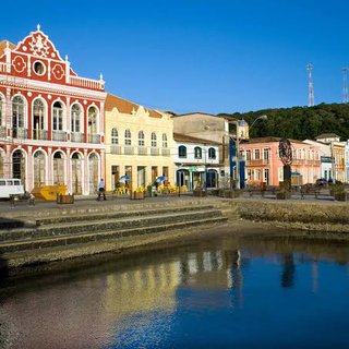 Univille S�o Francisco do Sul e prefeitura unem for�as pela sustentabilidade e educa��o ambiental em viveiro municipal 